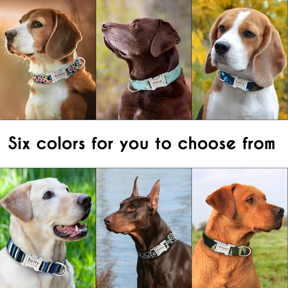 Personalized Dog Accessories Collar