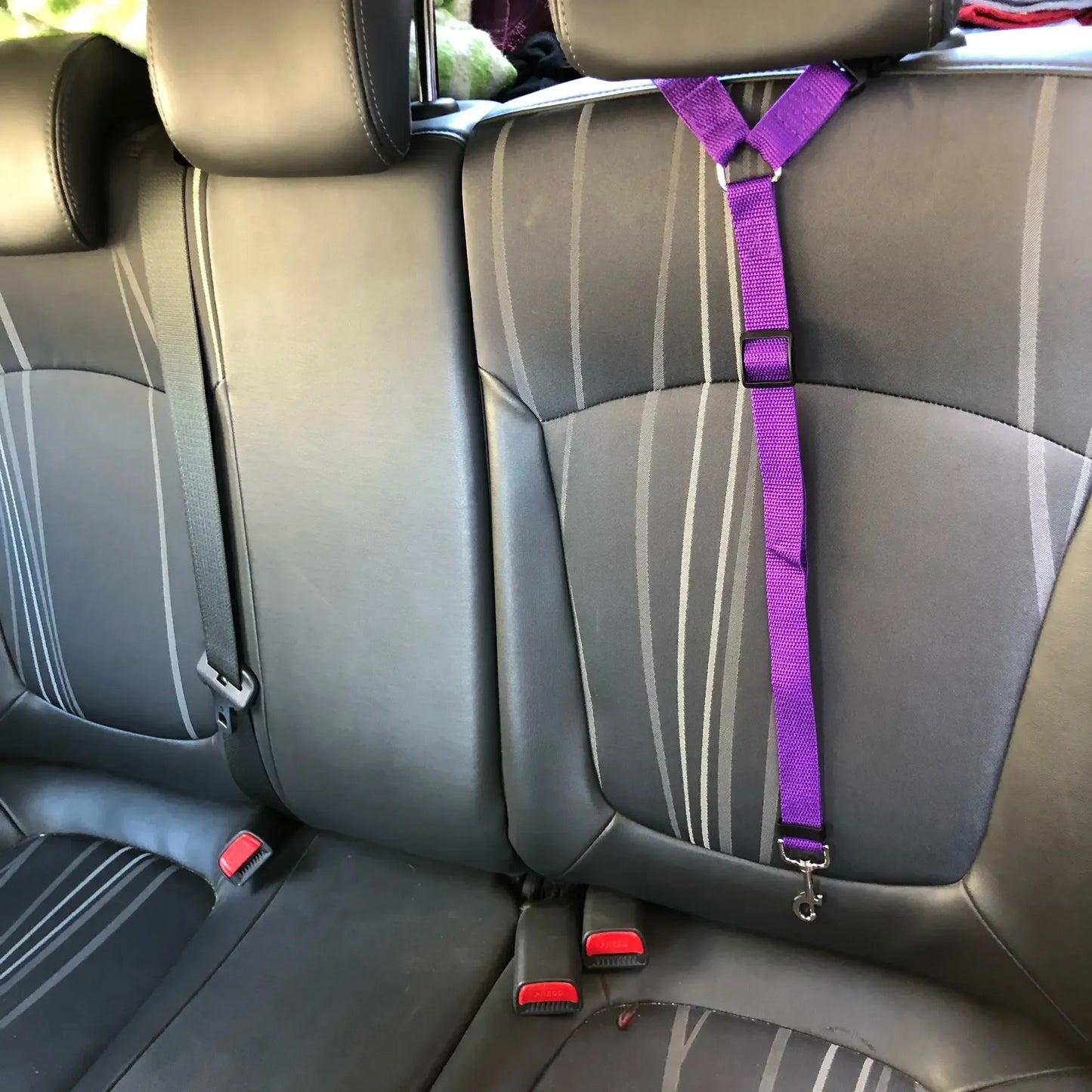 Solid Color Two-in-one Pet Car