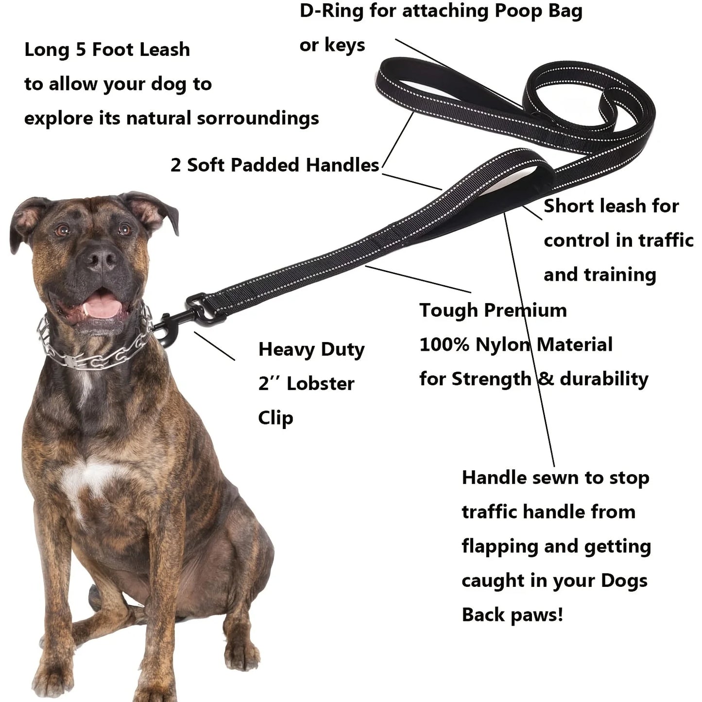 Dog Leashes Outdoor