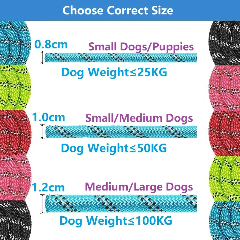 1 Strong Leashes for Dogs Soft