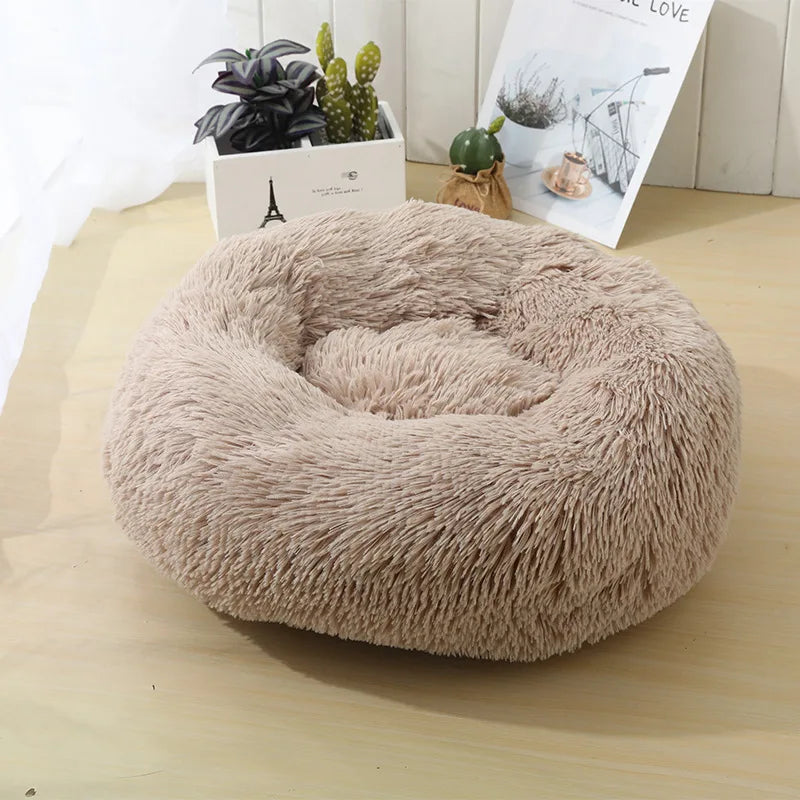 Round Dog bed
