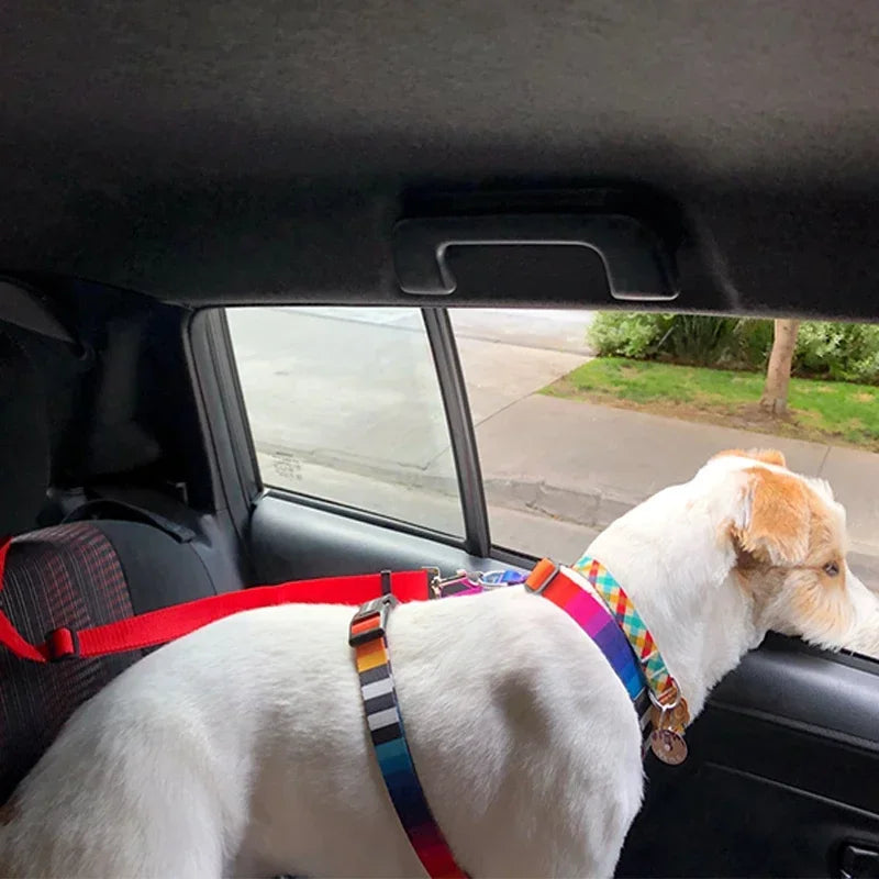 Solid Color Two-in-one Pet Car