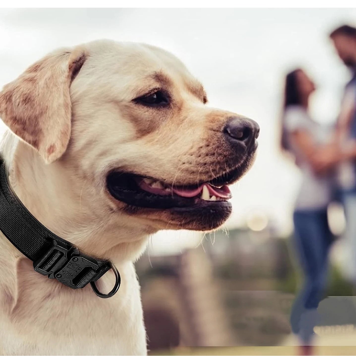 Taktisches Hundehalsband, verstellbares Militär-Trainings-Hundehalsband aus Nylon mit Kontrollgriff und schwerer Metallschnalle für mittlere und große Hunde