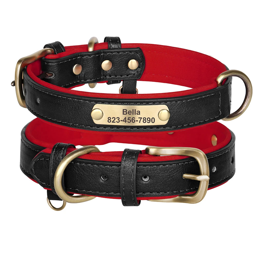 Custom ID Name Dog