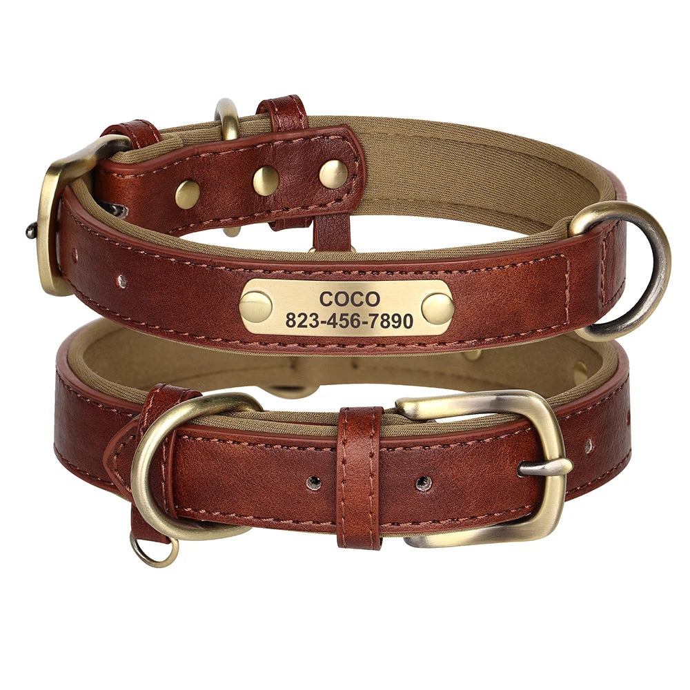 Custom ID Name Dog