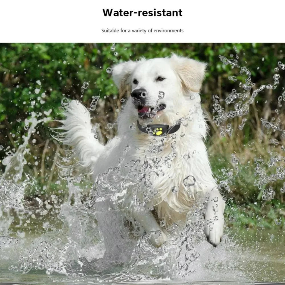 Z8 Dog Cat GPS Tracking