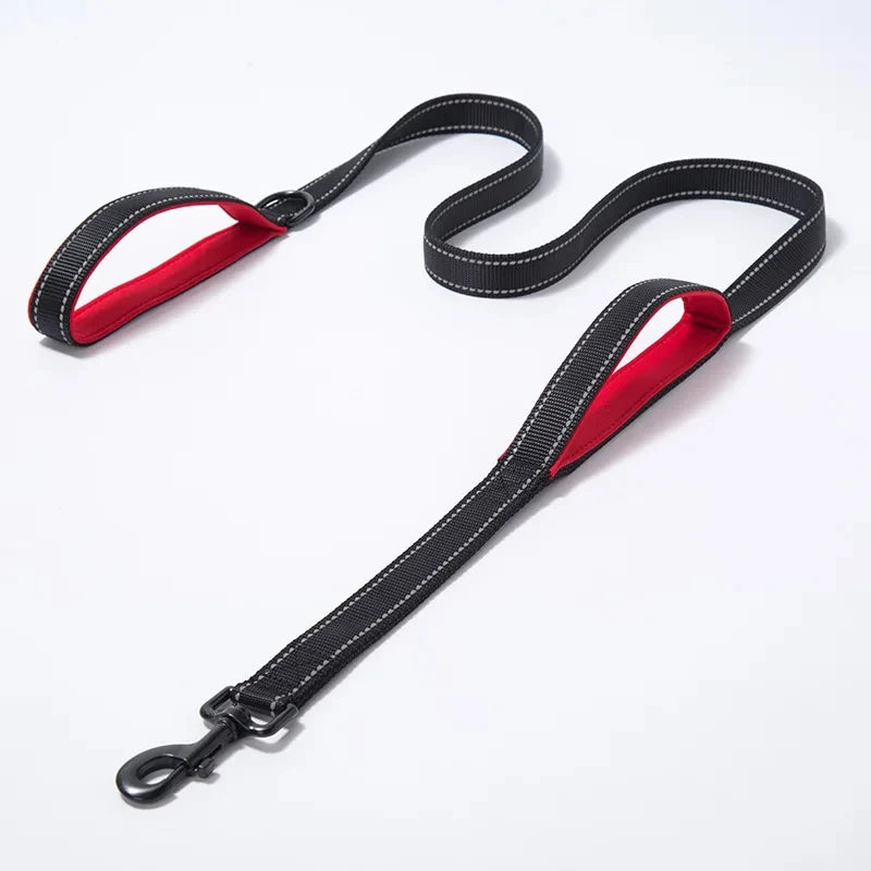Dog Leashes Outdoor