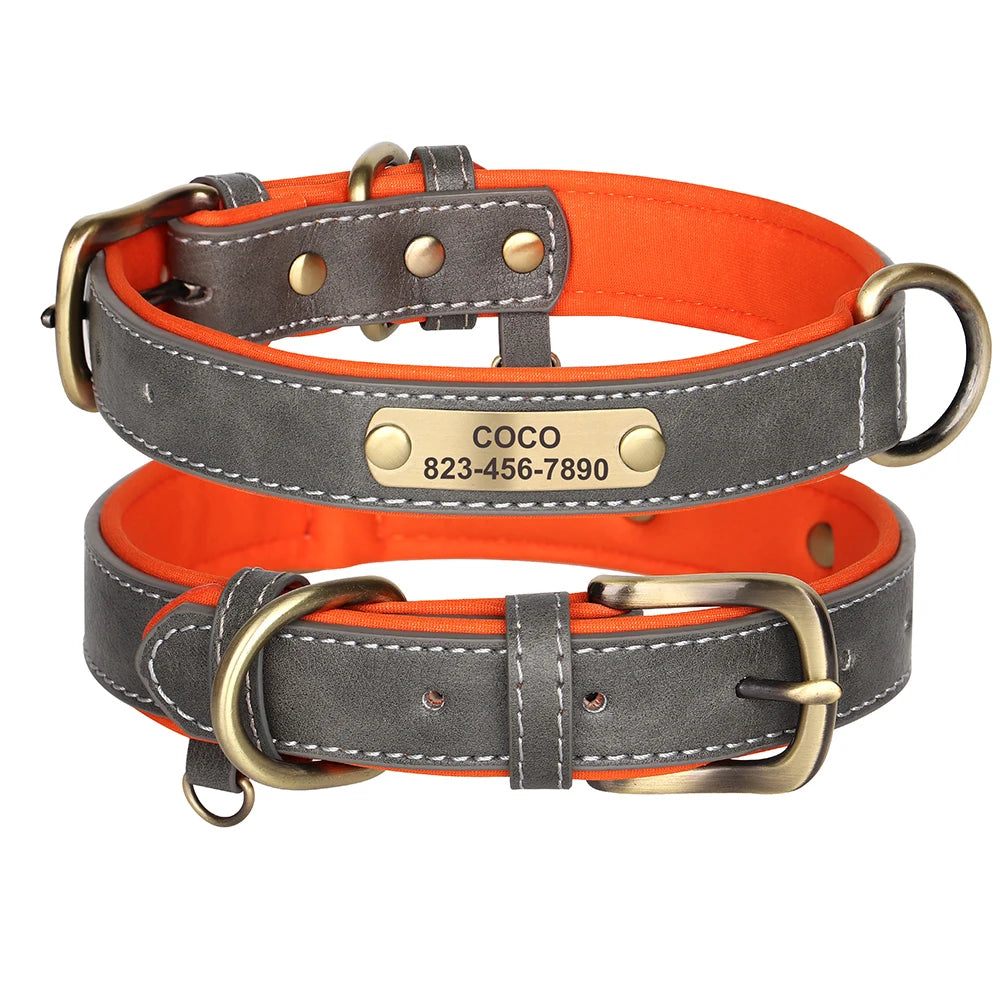 Custom ID Name Dog