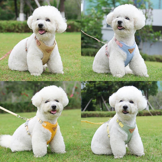 Puppy Harness