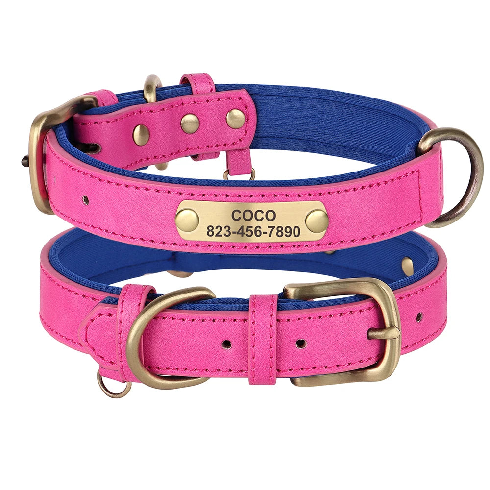 Custom ID Name Dog