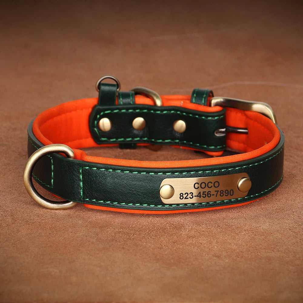 Custom ID Name Dog