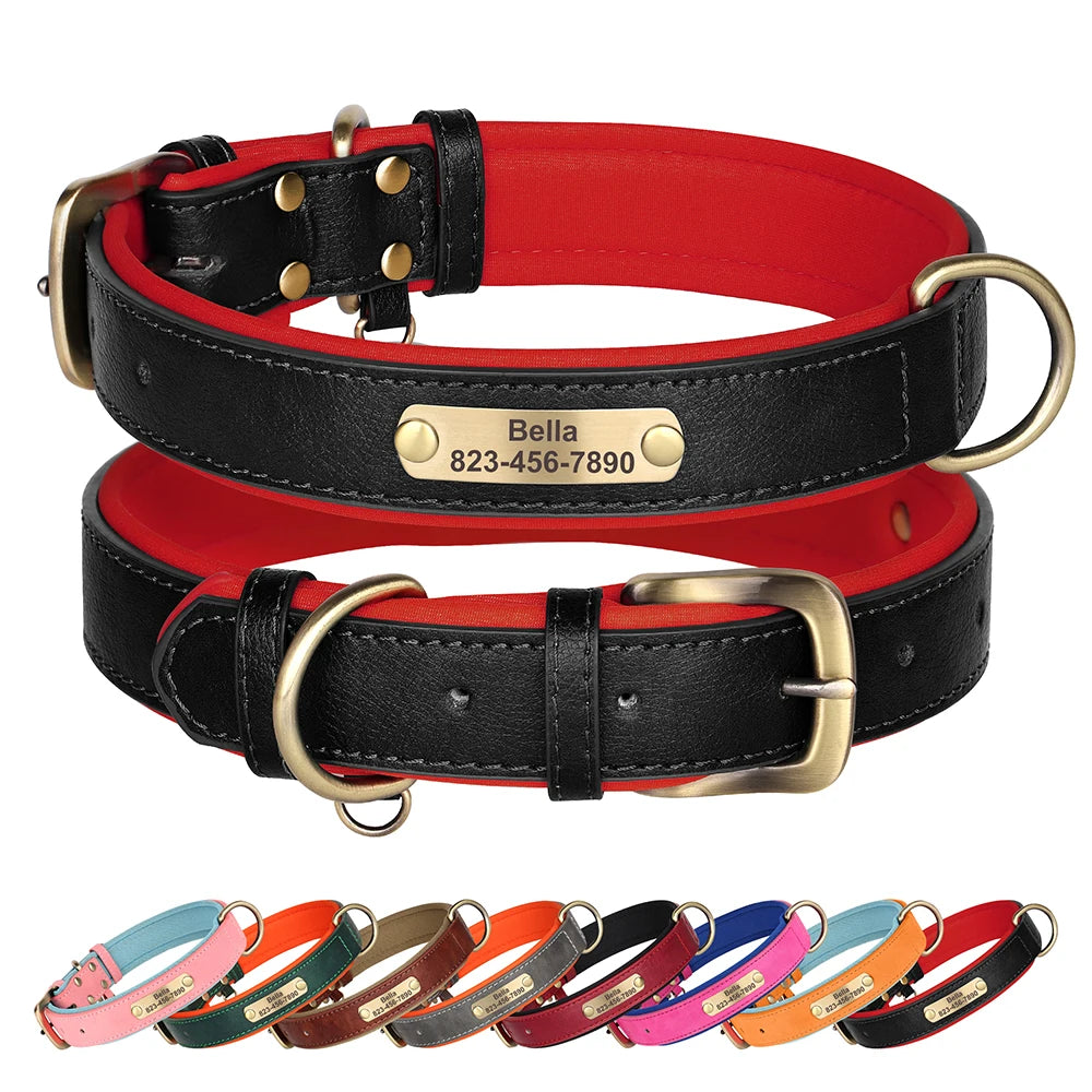 Custom ID Name Dog