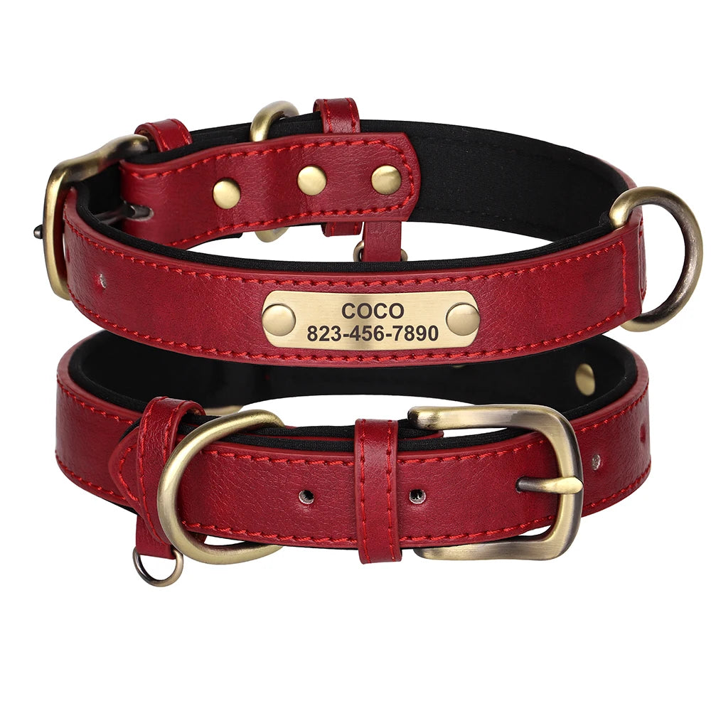 Custom ID Name Dog