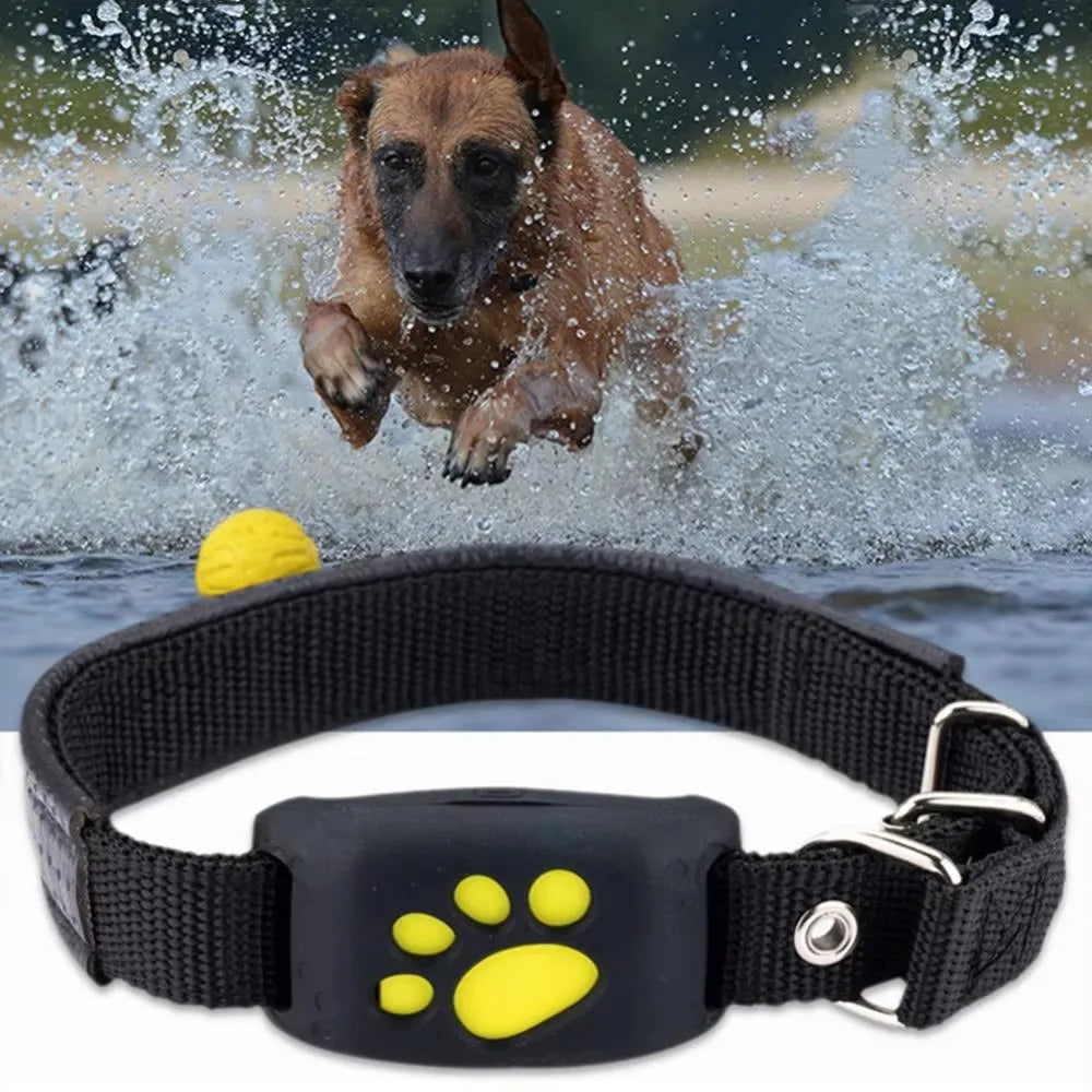 Z8 Dog Cat GPS Tracking