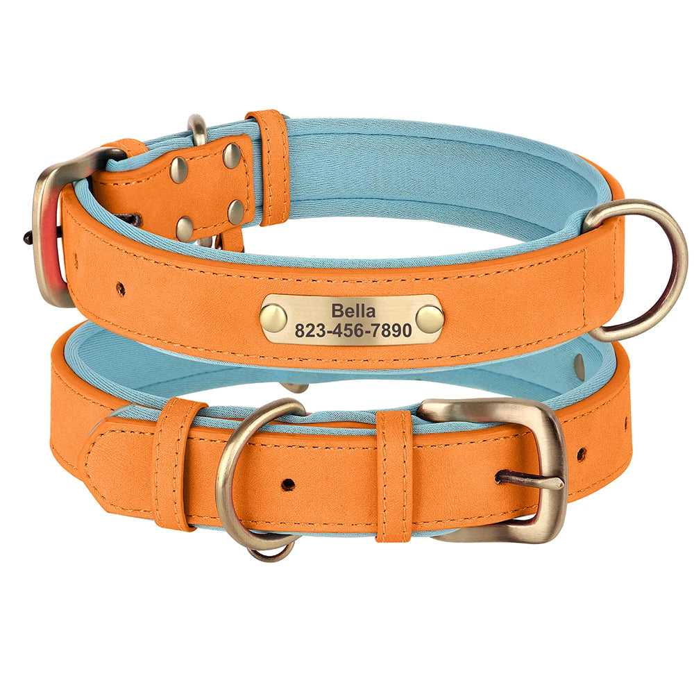Custom ID Name Dog
