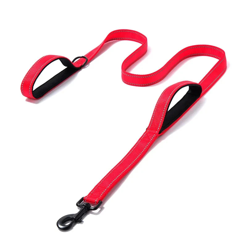 Dog Leashes Outdoor