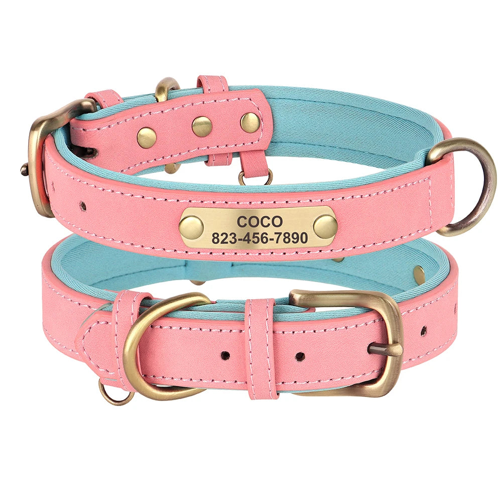 Custom ID Name Dog