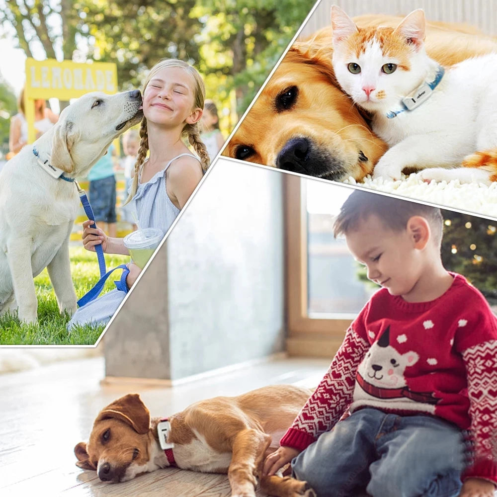 TK909 Pet GPS