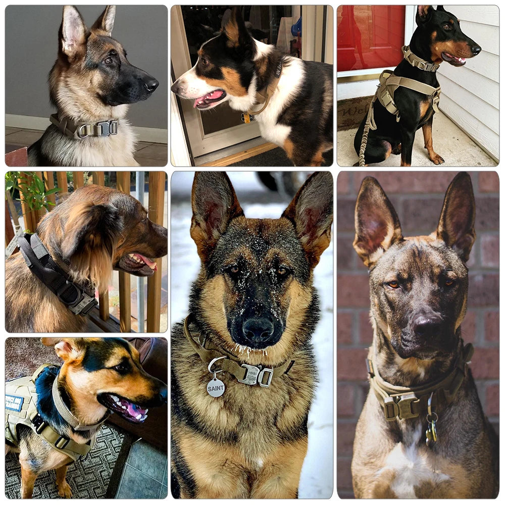 Hundetrainingshalsband, verstellbar, taktisches Hundehalsband und Leine, Set mit Kontrollgriff, Haustier-Leine, Halsband für kleine und große Hunde