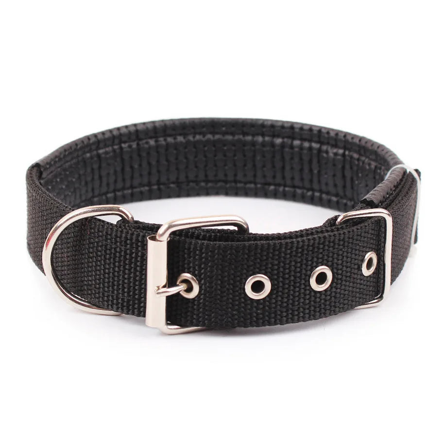 Solide Hundehalsbänder Nylon Hundehalsband für kleine mittelgroße Hunde Teddy Keji Pitbull Bulldog Beagle