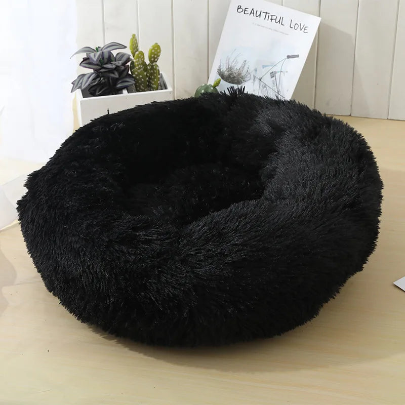 Round Dog bed