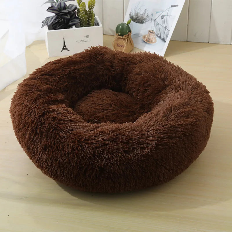 Round Dog bed