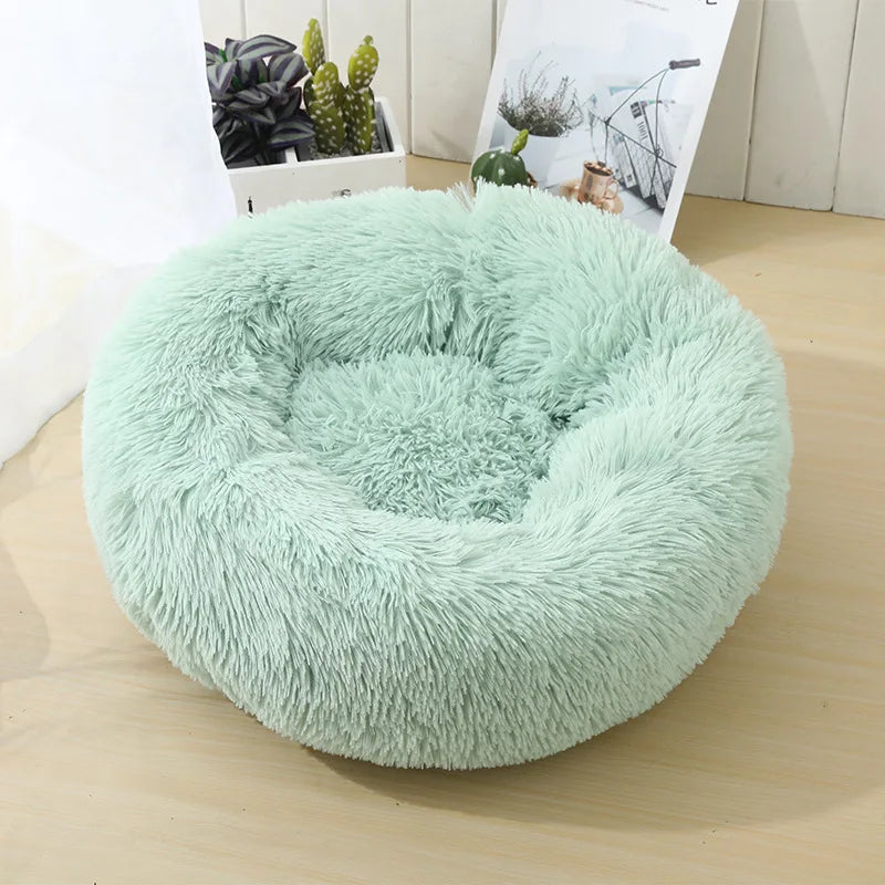 Round Dog bed