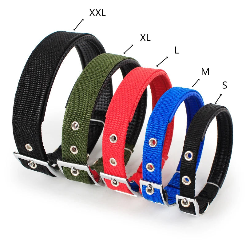 Solide Hundehalsbänder Nylon Hundehalsband für kleine mittelgroße Hunde Teddy Keji Pitbull Bulldog Beagle