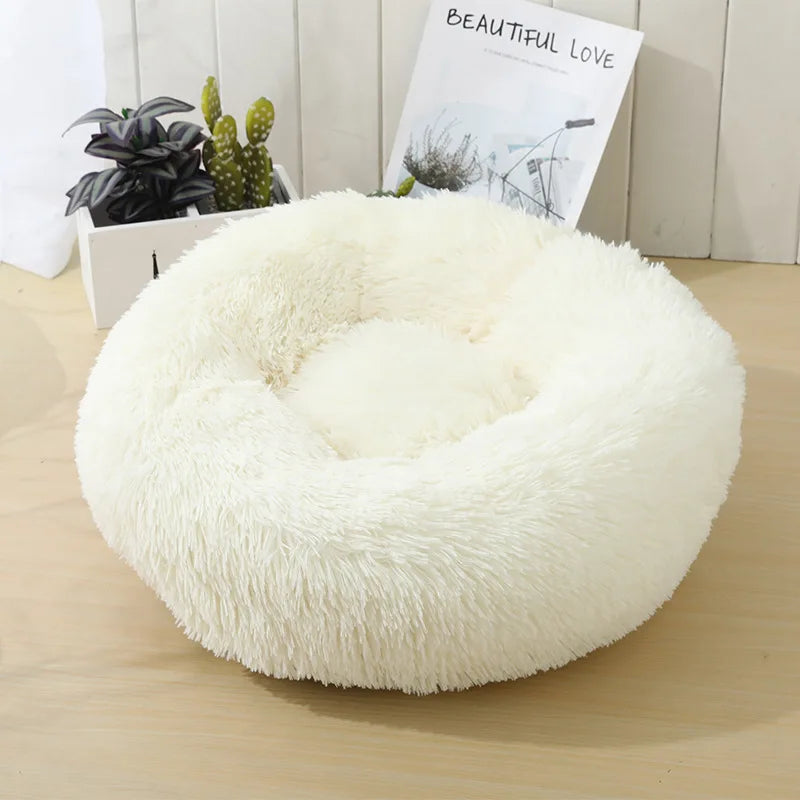 Round Dog bed
