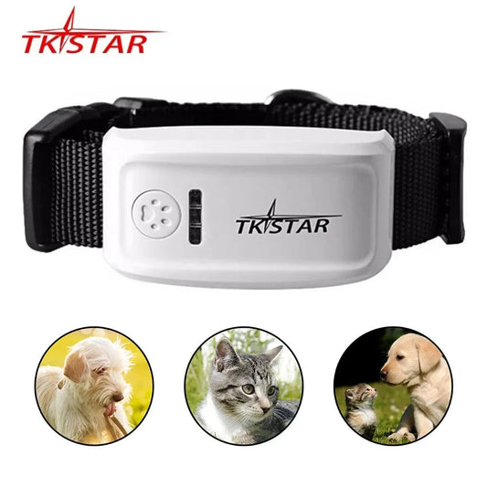 TK909 Pet GPS