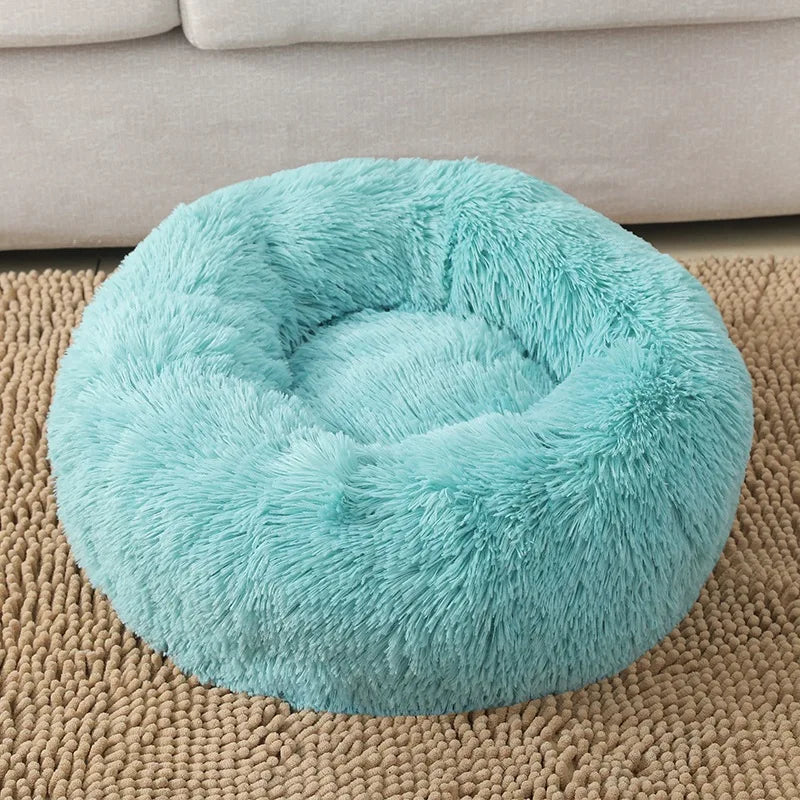 Round Dog bed