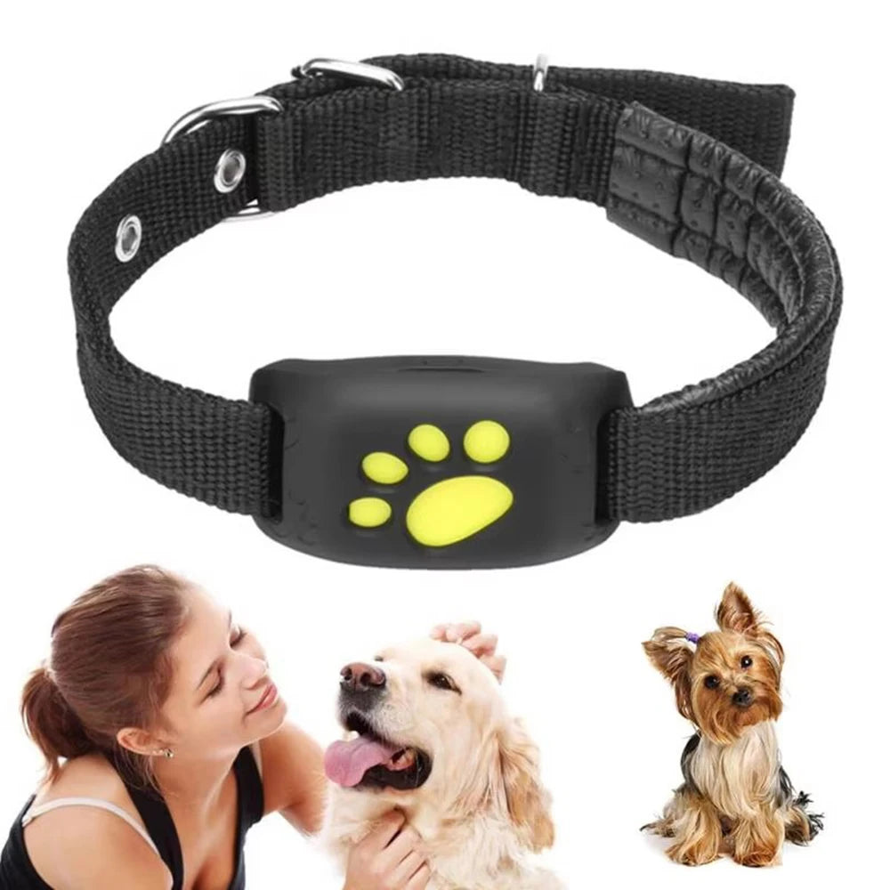 Z8 GPS-Tracking-Gerät für Hunde und Katzen, 2G, GPRS-Tracker-Halsband für Haustiere, Anti-Lost-Monitor, Rückruf, Echtzeit-Positionierung, Tierortungshalsband