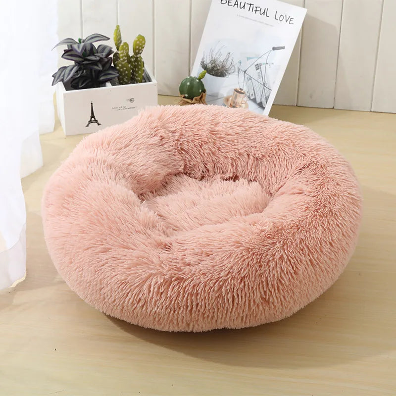 Round Dog bed