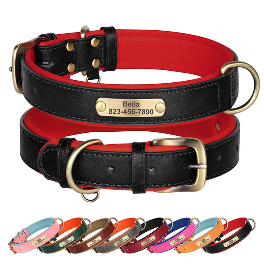 Custom ID Name Dog