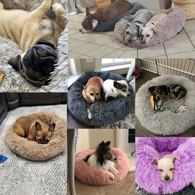 Round Dog bed