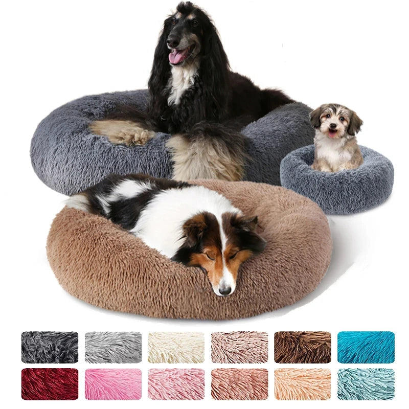 Round Dog bed