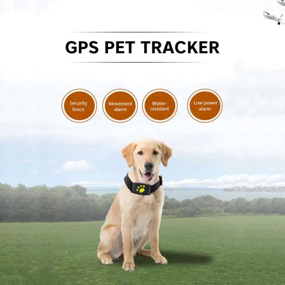 Z8 GPS-Tracking-Gerät für Hunde und Katzen, 2G, GPRS-Tracker-Halsband für Haustiere, Anti-Lost-Monitor, Rückruf, Echtzeit-Positionierung, Tierortungshalsband