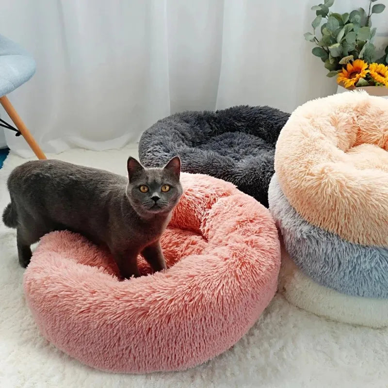 Round Dog bed