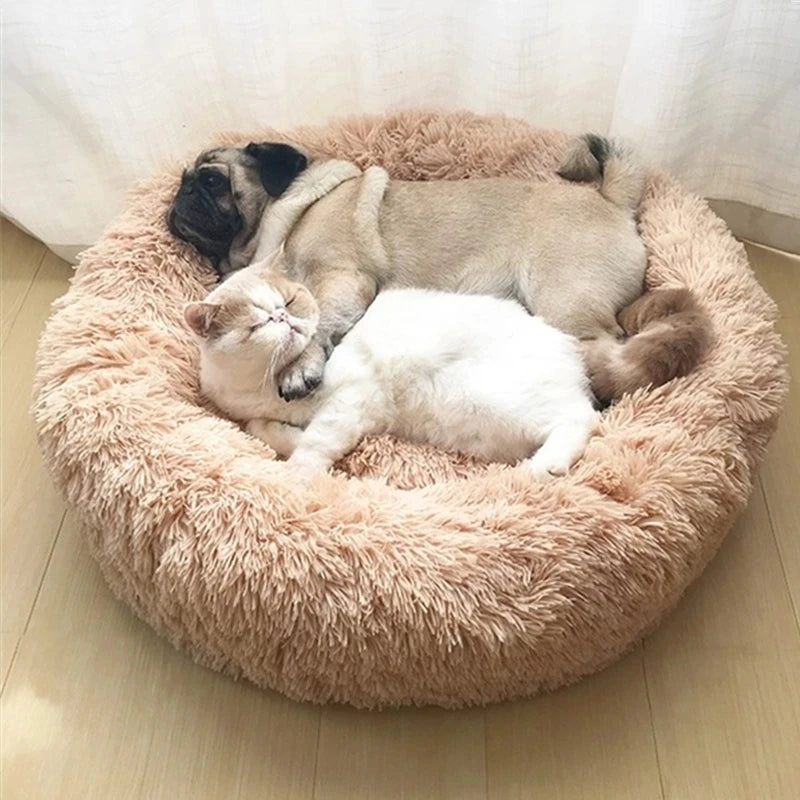 Round Dog bed